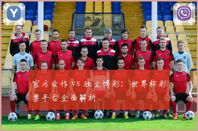 官方合作 vs 独立博彩:世界杯彩票平台全面解析