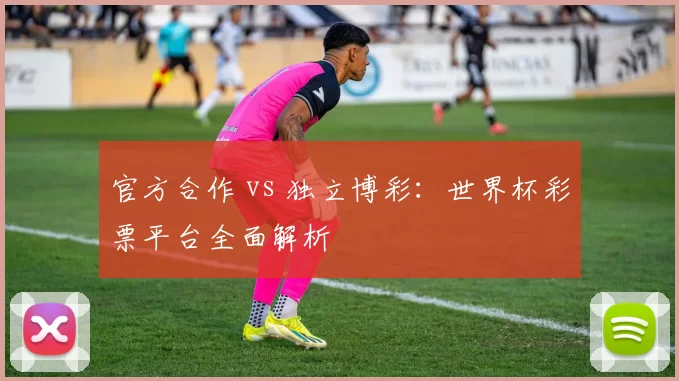 官方合作 vs 独立博彩:世界杯彩票平台全面解析