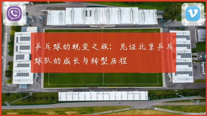 乒乓球的蜕变之旅：见证北京乒乓球队的成长与转型历程