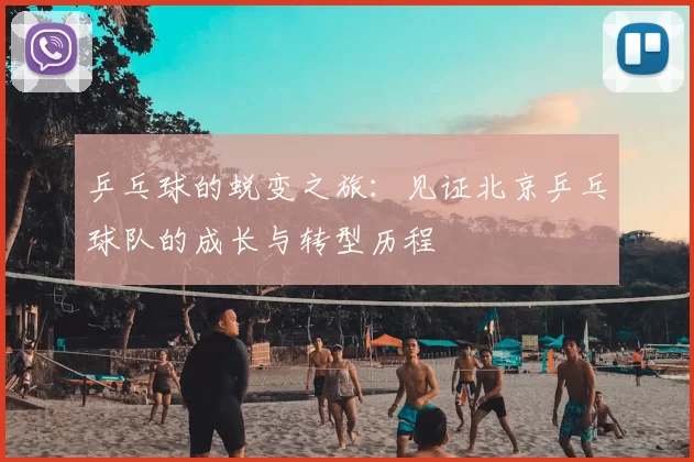 乒乓球的蜕变之旅：见证北京乒乓球队的成长与转型历程