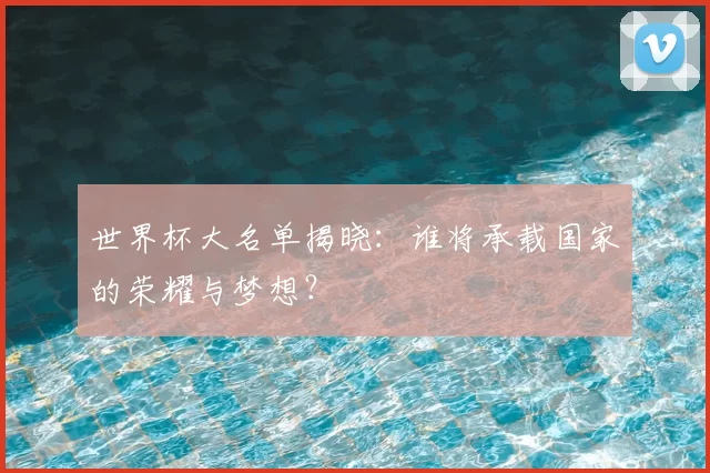世界杯大名单揭晓：谁将承载国家的荣耀与梦想？