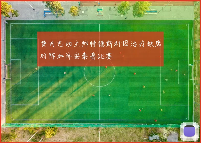 费内巴切主帅特德斯科因治疗缺席对阵加济安泰普比赛