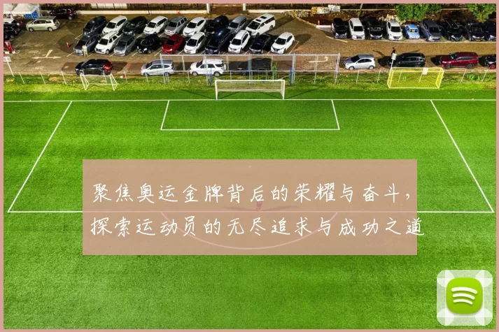 聚焦奥运金牌背后的荣耀与奋斗，探索运动员的无尽追求与成功之道