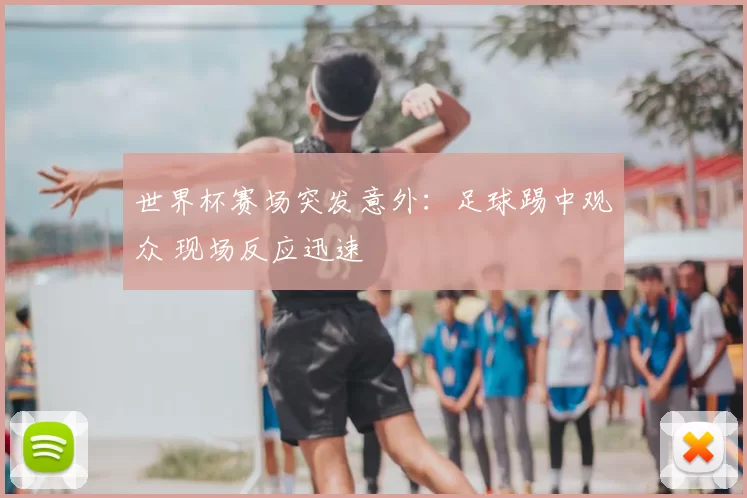 世界杯赛场突发意外:足球踢中观众 现场反应迅速