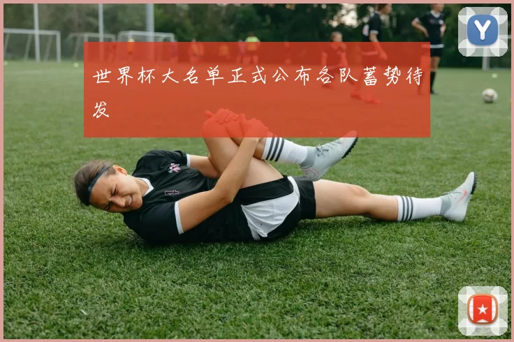 世界杯大名单正式公布各队蓄势待发