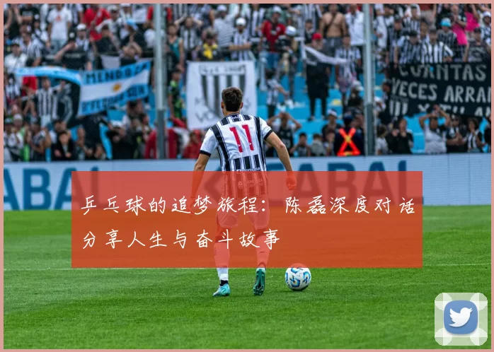 乒乓球的追梦旅程：陈磊深度对话分享人生与奋斗故事