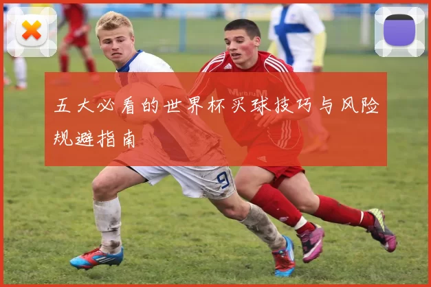 五大必看的世界杯买球技巧与风险规避指南