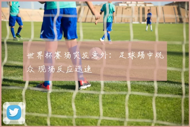 世界杯赛场突发意外：足球踢中观众 现场反应迅速