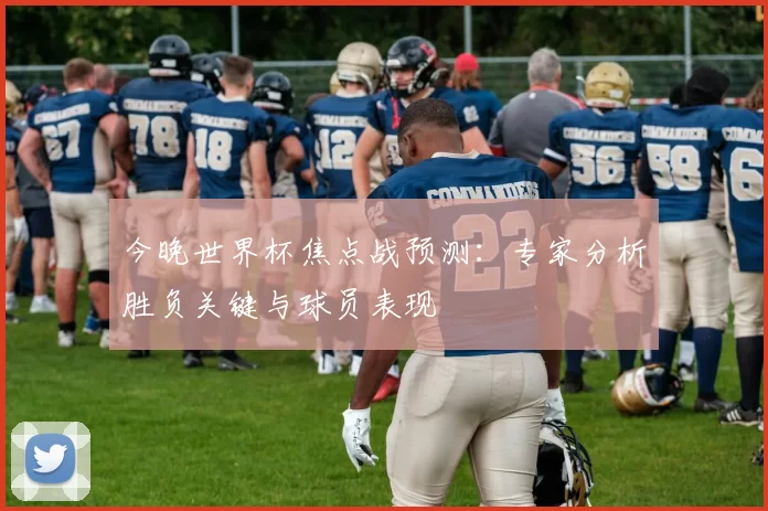 今晚世界杯焦点战预测:专家分析胜负关键与球员表现