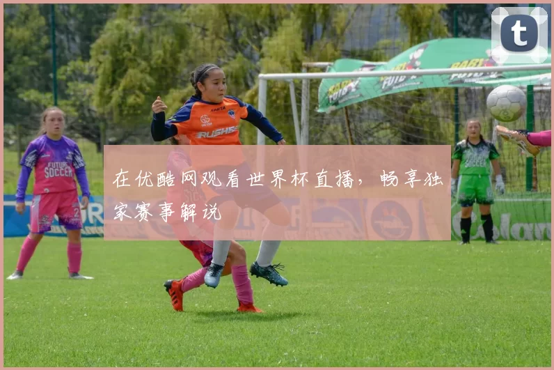 在优酷网观看世界杯直播,畅享独家赛事解说