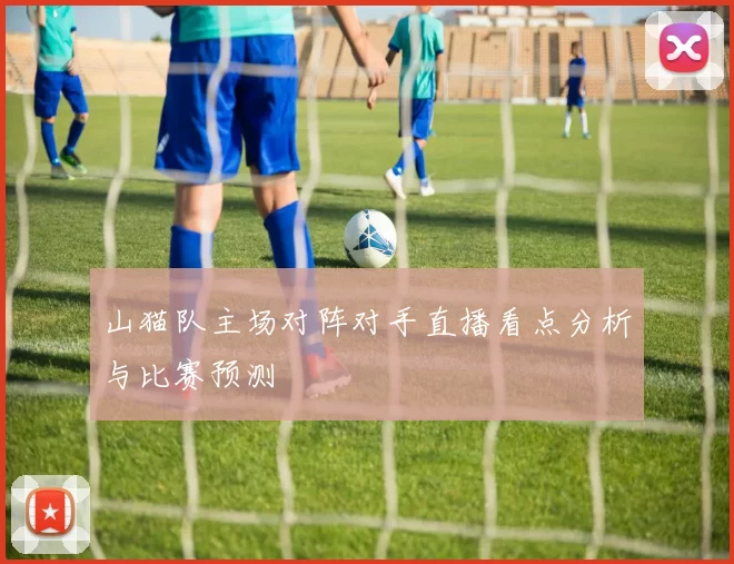 山猫队主场对阵对手直播看点分析与比赛预测