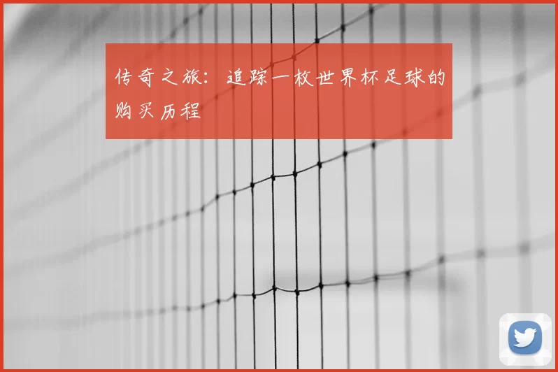 传奇之旅:追踪一枚世界杯足球的购买历程